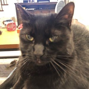 Meet your Posher, Brad